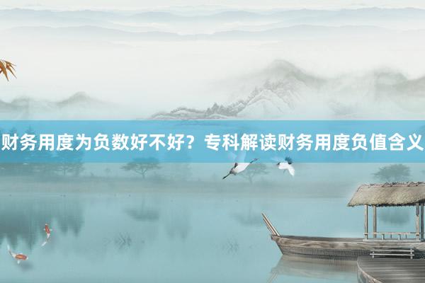财务用度为负数好不好？专科解读财务用度负值含义