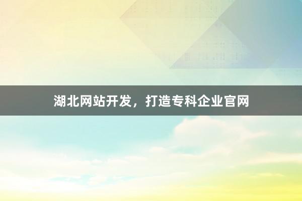 湖北网站开发，打造专科企业官网