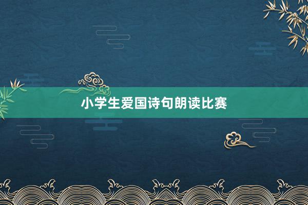 小学生爱国诗句朗读比赛
